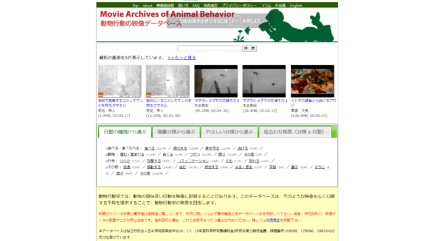 動物行動の映像データベース